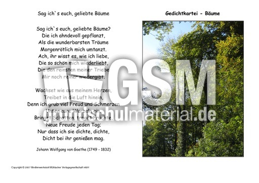Sag-ichs-euch-Goethe.pdf